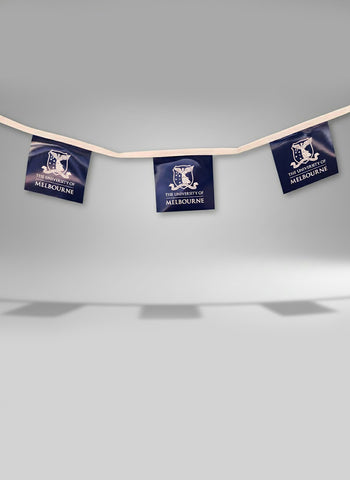 Merchandise - Bunting 10m